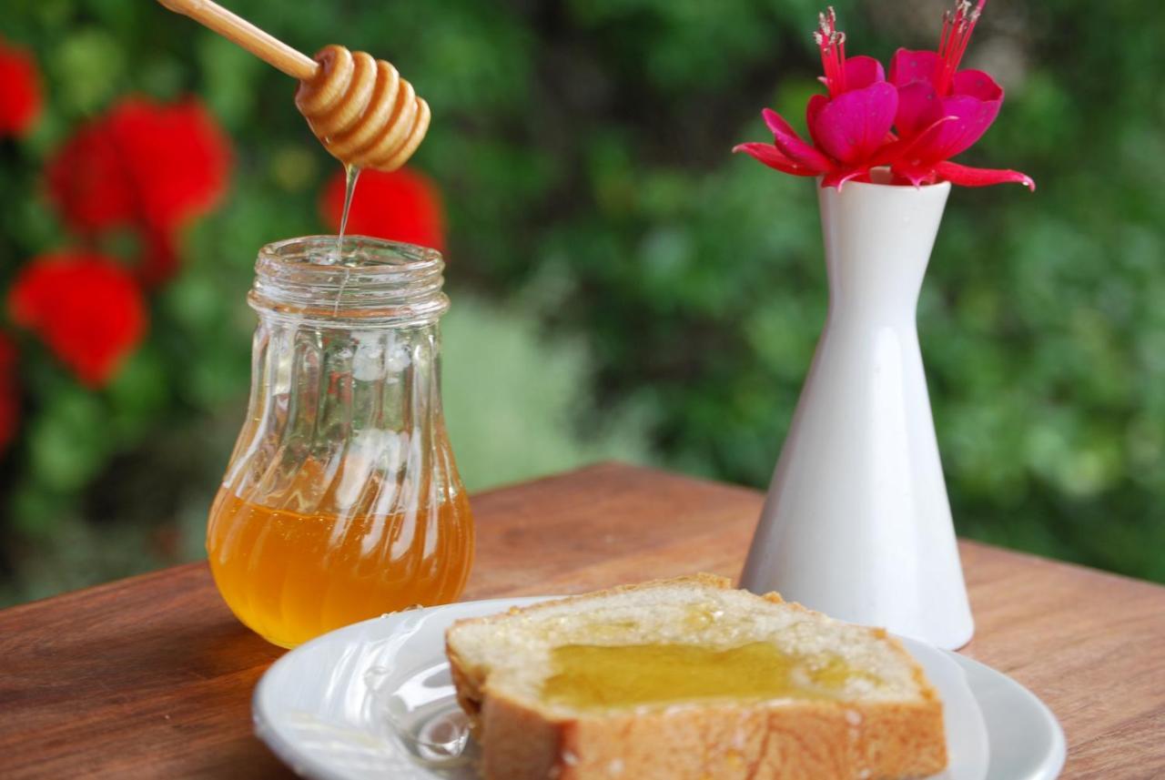 Tritoxo Guesthouse Koukkouli Ngoại thất bức ảnh